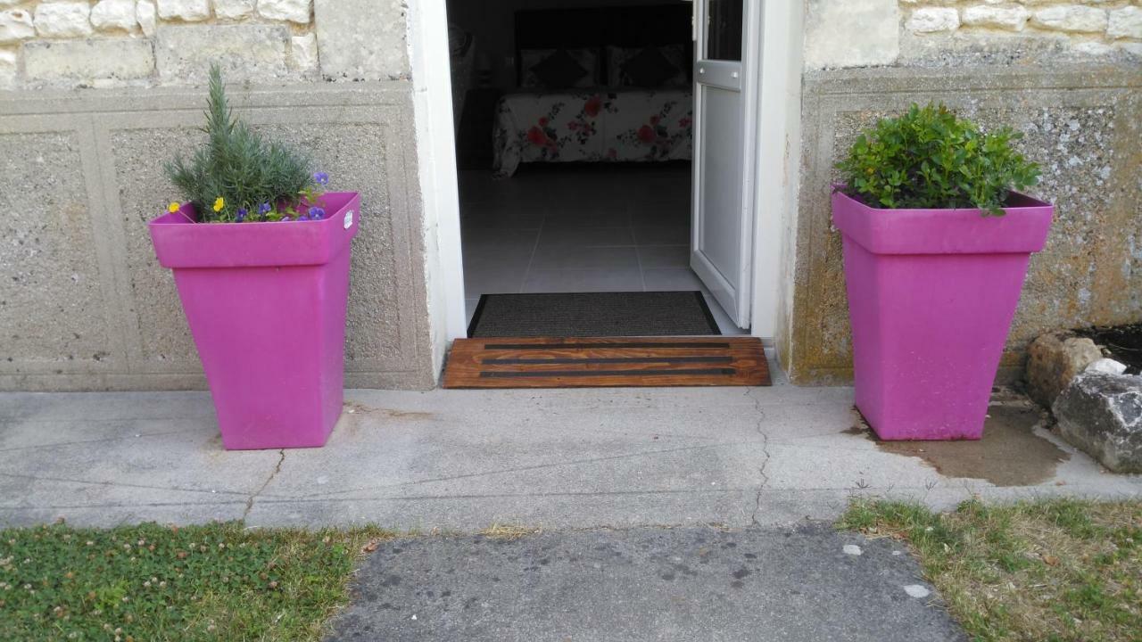 Les Gites Du Vigneron Et Cd'H Saint-Seurin-de-Palenne Exterior foto